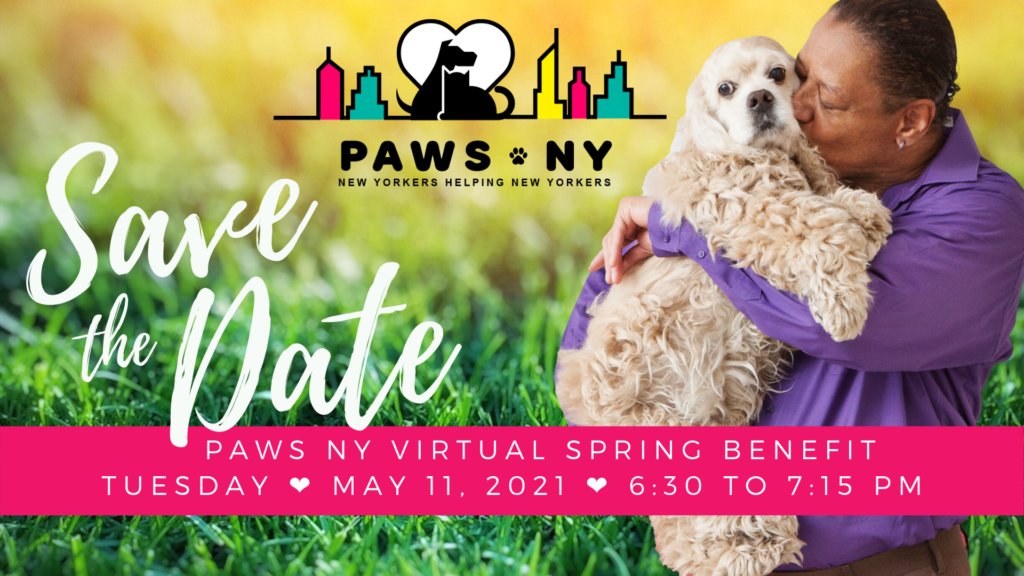 Save the Date Virtual Spring Benefit 2021