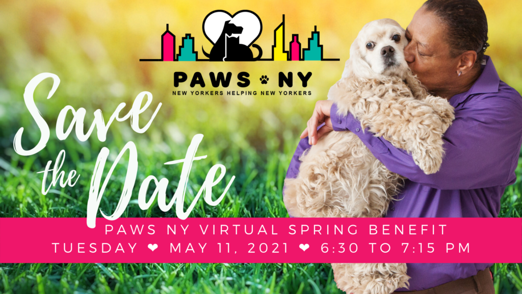 Save the Date: PAWS NY Virtual Spring Benefit