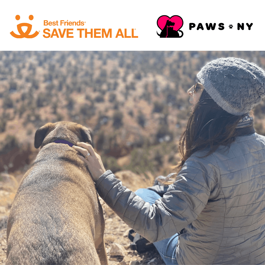 PAWS NY Presents at Best Friends National Conference PAWS NY