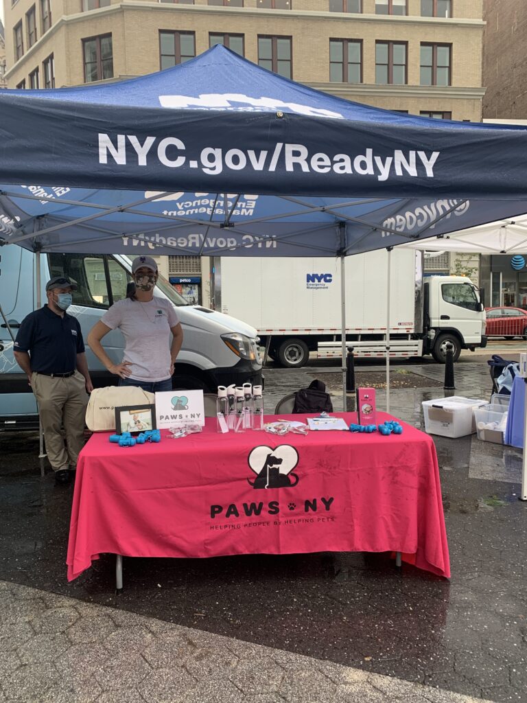 PAWS NY table at an outdoor event. A woman stands in a grey PAWS t-shirt with her hands on her hips and a face mask. There's a table with a pink tablecloth with PAWS NY logo, plus items on the table to help spread the word.