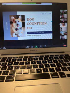 A laptop is open with a Zoom meeting on the screen. The participants are on the right-hand side, while the majority of the screen is a presentation called "Dog Cognition 101" from PetMinded, with a photo of a corgi in a bowtie.