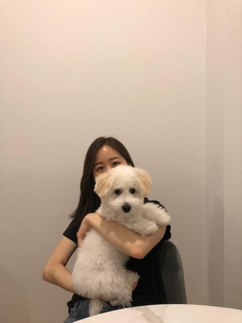 Alexis (Chung Ah) Spotlight - A woman with dark hair hides mose of her face behind a white dog that she holds in her lap. Both are looking at the camera, and you can see the woman's eyes behind the dog's head.