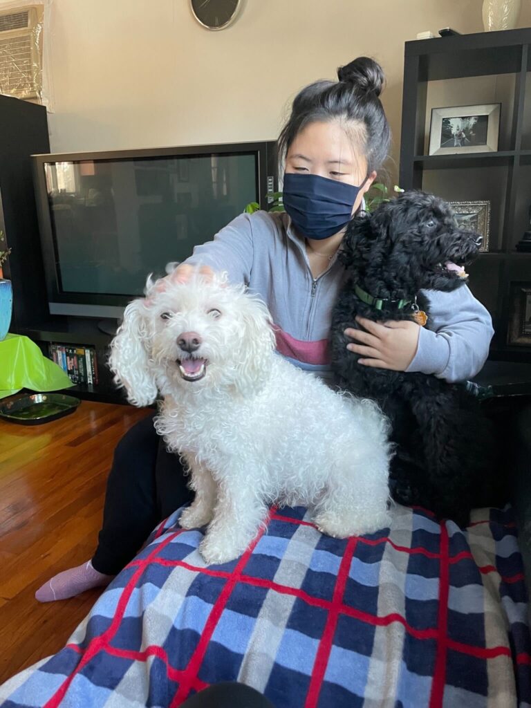 Connie Volunteer Spotlight - A woman with dark hair pulled back and a navy blue face mask, sits with two dogs: one black looking off to the right, and one white, looking at the camera. She holds the black dog, while petting the head of the white dog. 