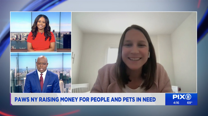 A screenshot of a PIX11 television interview: split screen between two news anchors on the left, and Rachel Herman, PAWS NY founder and executive director, on the right.