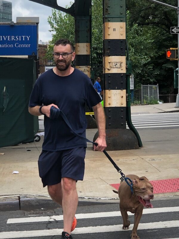 Tim, a man with dark hair and glasses wearing navy blue t-shirt and shorts, walks Bella across the street. Bella is a brown pitbull who has her mouth open with her tongue out a bit. They are walking across the crosswalk, with Bella on a leash, and elevated train tracks behind them.
