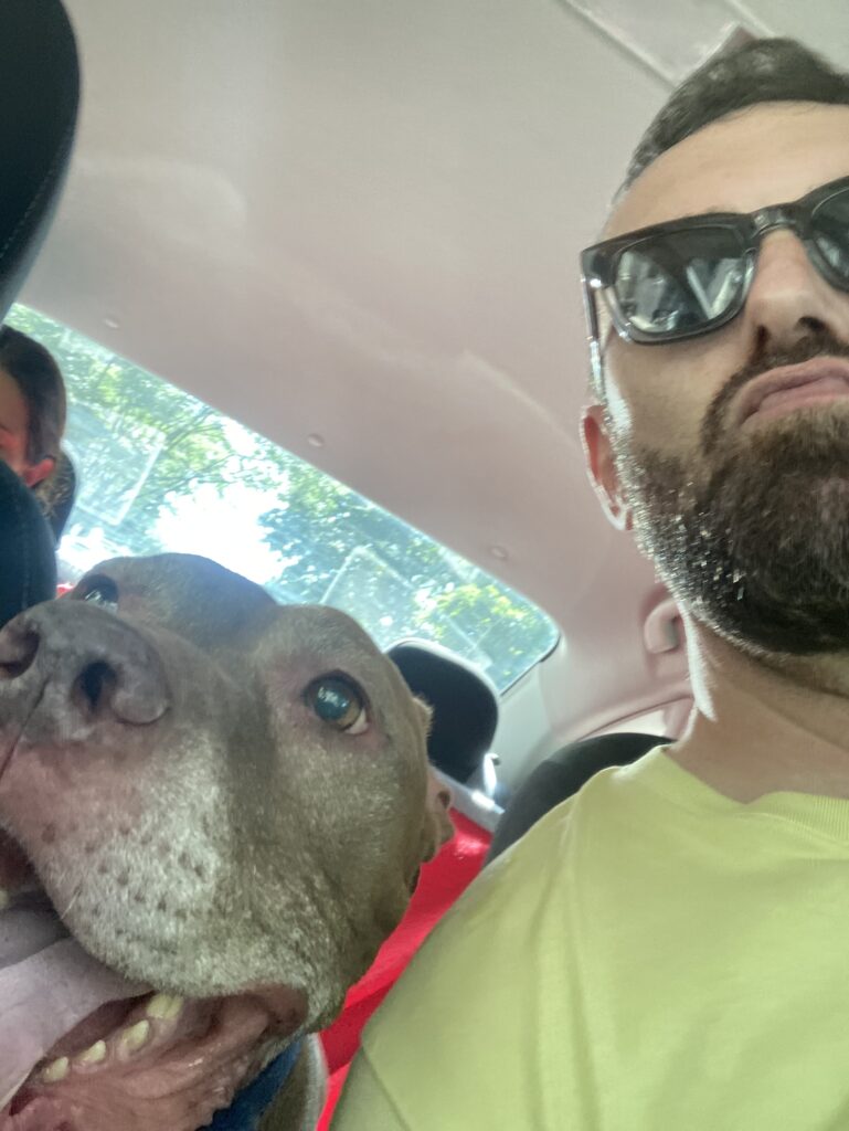 A selfie of Tim and Bella in a car, going to a veterinary appointment. Tim wears a yellow-green shirt with black sunglasses and makes a face with pursed lips. Bella looks off to the left of the camera with her mouth open. 