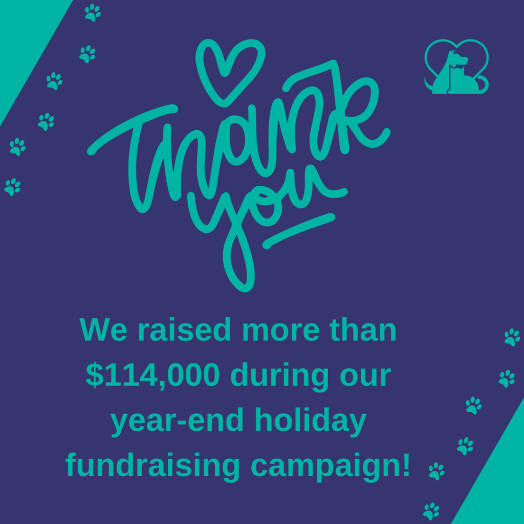 Fundraising Update: A graphic image with a purple background and teal text that says: "Thank you. We raised more than $114,000 during our year-end holiday fundraising campaign."