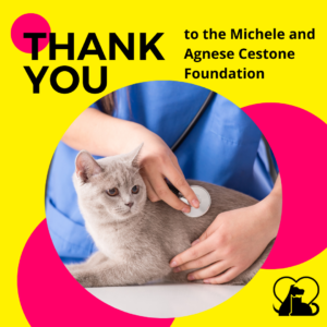 "Thank you to the Michele and Agnese Cestone Foundation" with an image of a grey cat at the vet and a small PAWS NY logo.