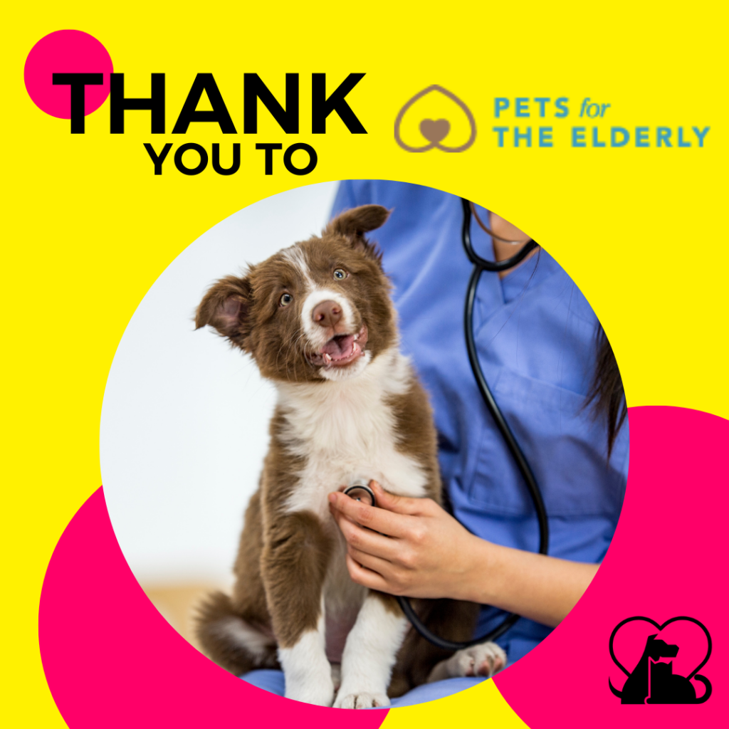A brown and white dog at the vet; you see the veterinarian in blue scrubs holding a stethoscope up to the dog. "Thank you to Pets for the Elderly."