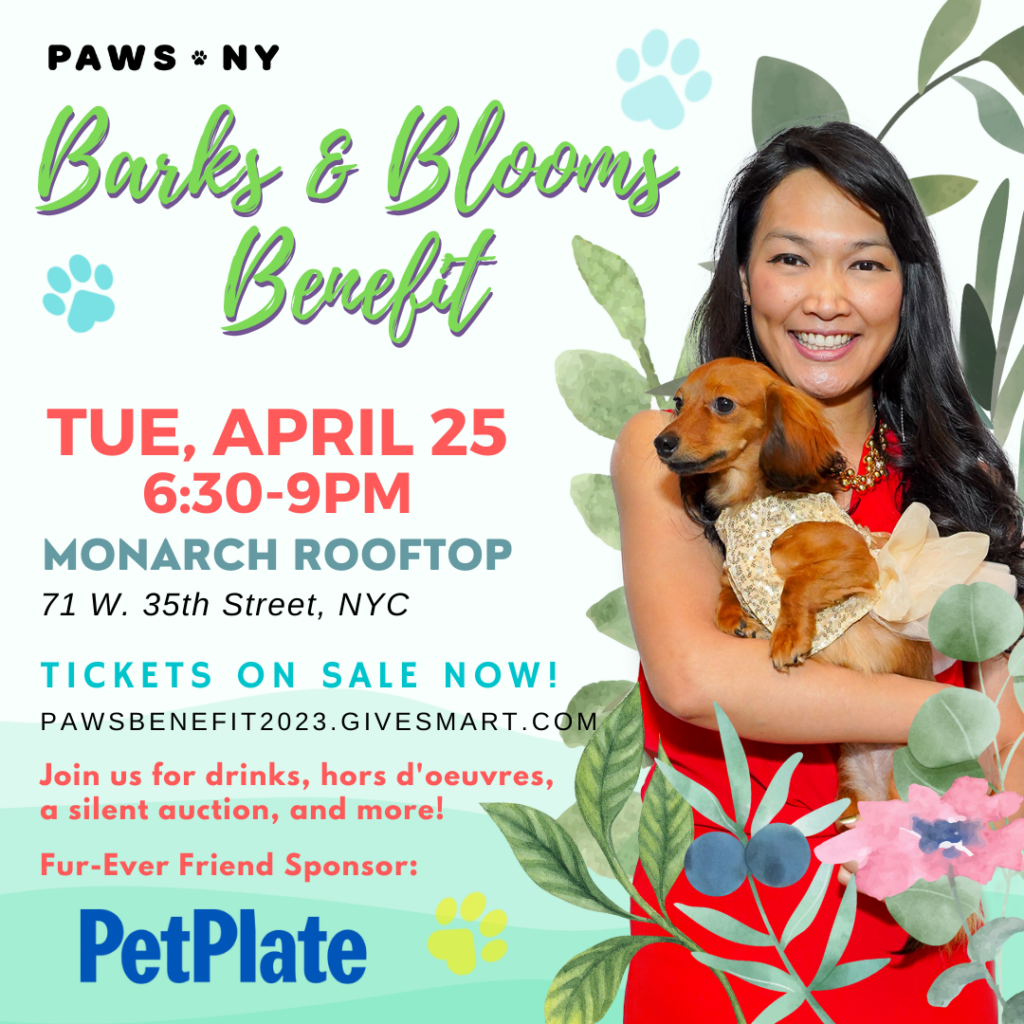 A woman dressed up and holding a dog. PAWS NY Barks & Blooms Benefit, Tuesday, April 25 from 6:30-9pm at the Monarch Rooftop (71 W. 35th Street, NYC). Tickets on sale now! PAWSBENEFIT2023.givesmart.com. Join us for drinks, hor d'oeuvres, a silent auction, and more! Fur-Ever Friend Sponsor: PetPlate