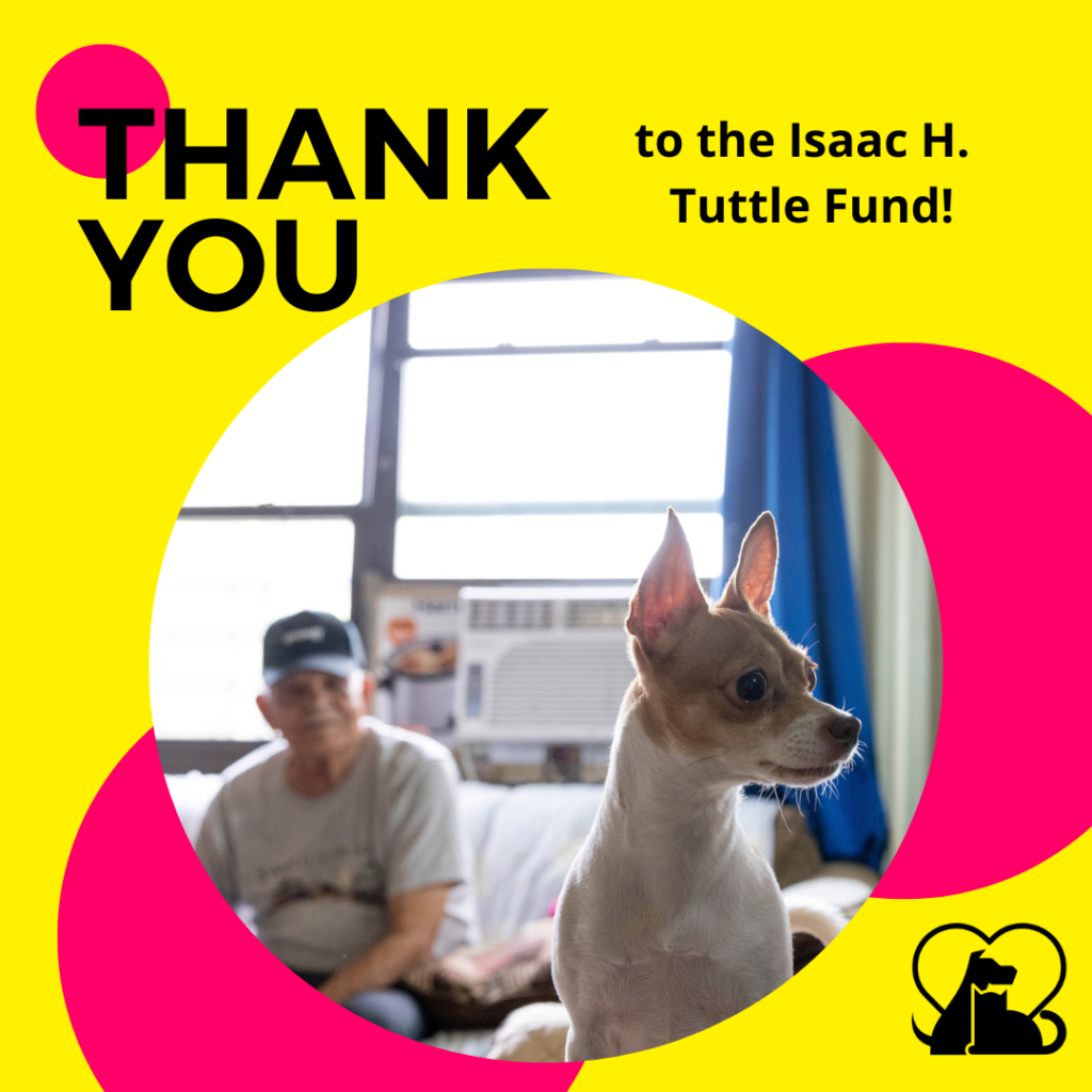 Image of an older man in the background, with his dog, a brown and white chihuahua in the foreground. Text says "Thank You to the Isaac H. Tuttle Fund!" with the PAWS NY logo