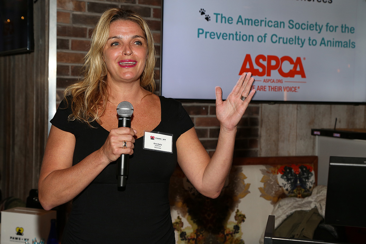 PAWS NY Receives a 100,000 Grant from the ASPCA