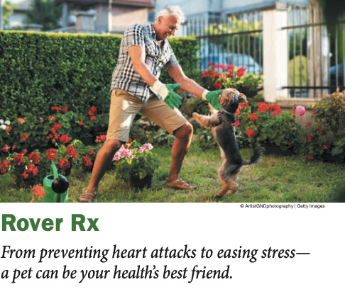 PAWS NY in Bottom Line Health