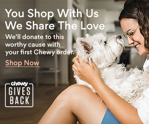 https://pawsny.org/wp-content/uploads/2025/10/Chewy_Image1.webp