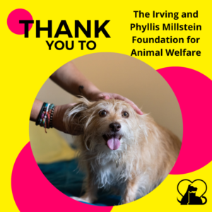 Funder-News_2023-15-1 thank you