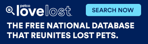 https://pawsny.org/wp-content/uploads/2025/10/LostWebsiteBanners_ButtonImage_300x90.webp