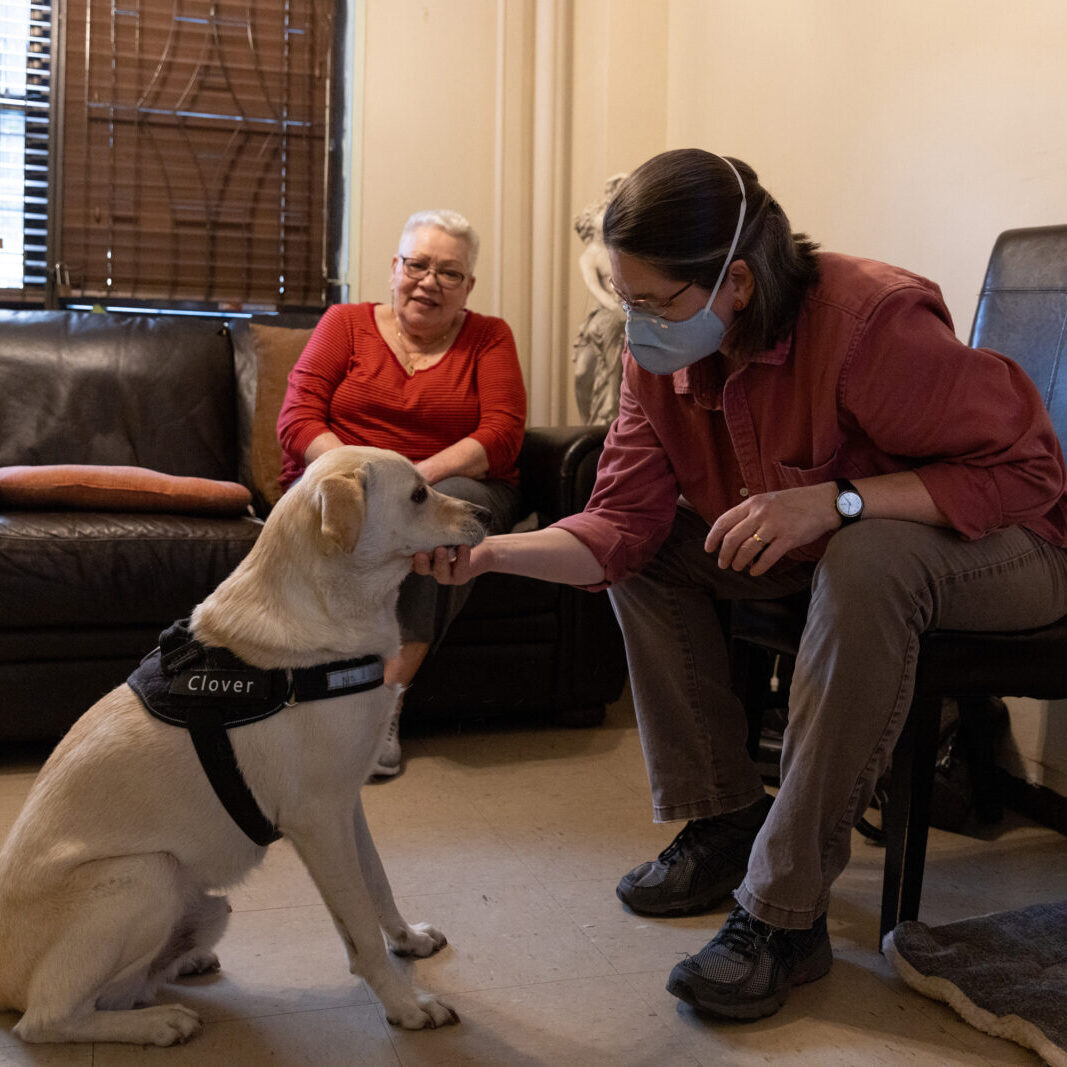 Photo for our page in Español - A woman in brown pants and a reddish top sits on a chair and pets a golden labrador named Clover, who is sitting on the floor. His guardian, Rosa, sits behind him on a couch, wearing a red top and glasses.
