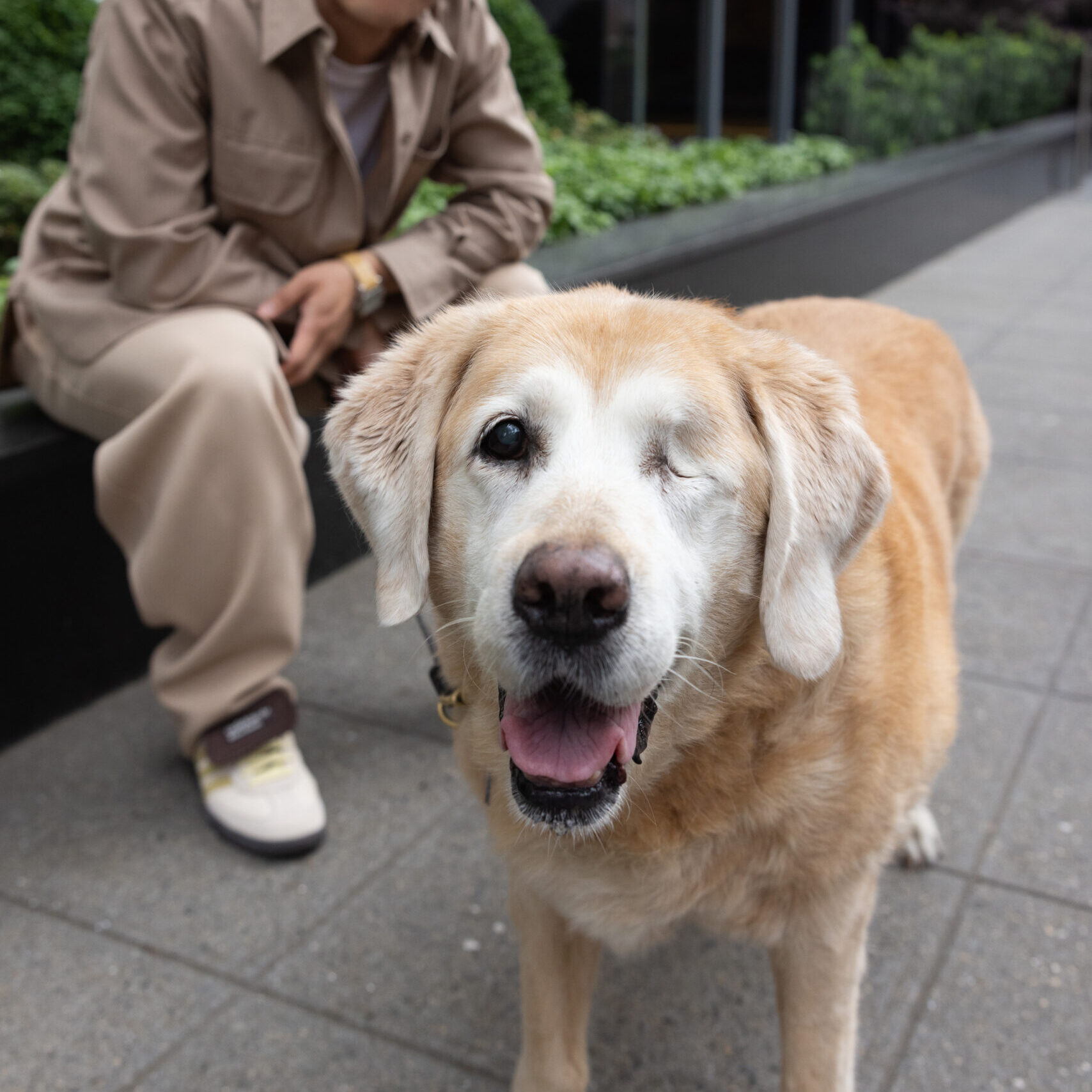 2023_06_21_PAWS_01 copy