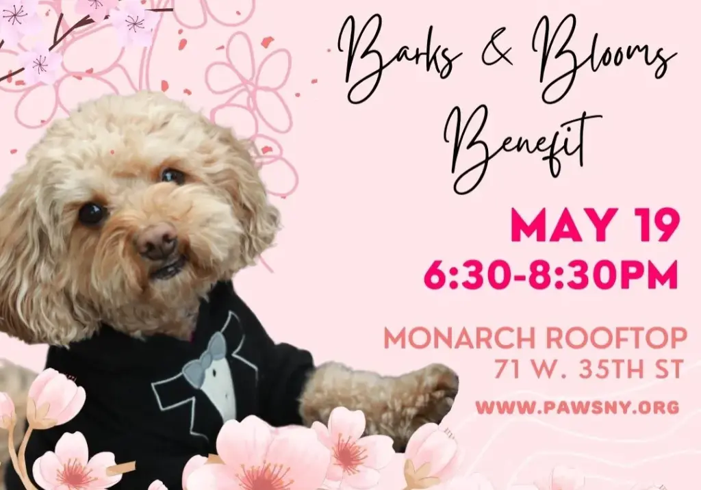 2025-spring-benefit-invitation-1 event